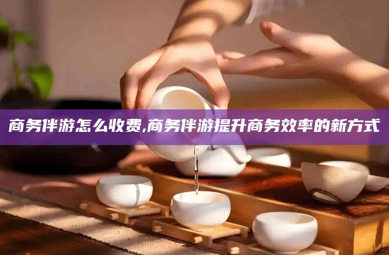 南漳商务伴游怎么收费,商务伴游提升商务效率的新方式